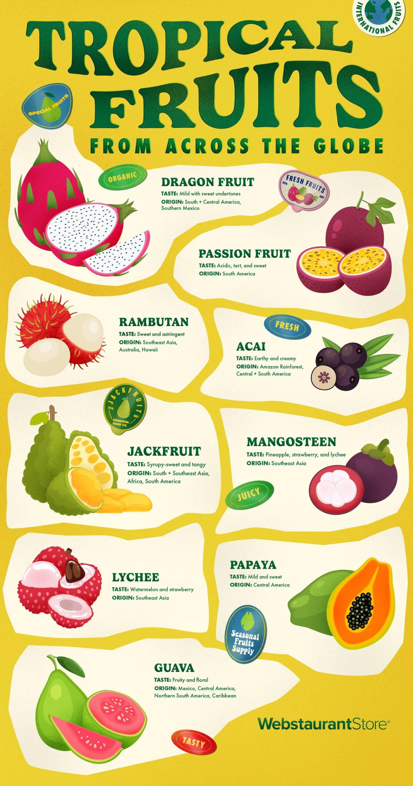 Discovering Unique Tropical Fruits of the Caribbean - CaribbeanFocus